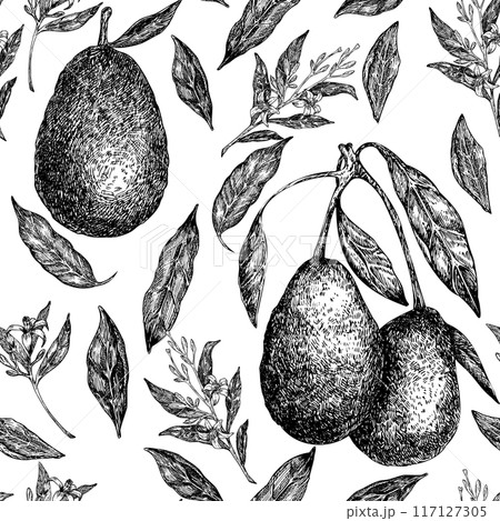 Seamless pattern with avocado hass graphic illustration, hand drawn sketch of vegetable, leaves, flowers. Botanical drawing of tropical fruit. Engraving for food packaging design. 117127305
