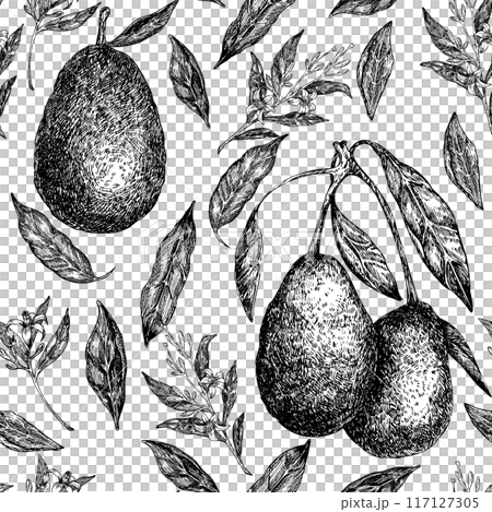 Seamless pattern with avocado hass graphic illustration, hand drawn sketch of vegetable, leaves, flowers. Botanical drawing of tropical fruit. Engraving for food packaging design. 117127305
