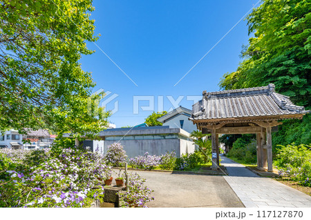 下田了仙寺　日米和親条約が締結　黒船ミュージアム　アメリカ人との交流歴史　黒船開国資料日本最大級 117127870