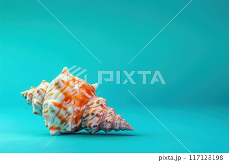 A delicate sea shell showcases its intricate design, elegantly positioned on a solid teal background, radiating natural beauty and tranquility. 117128198