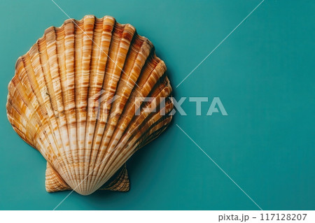 A beautifully detailed seashell rests gracefully against a striking teal backdrop, showcasing natures artistry in vivid contrast. 117128207