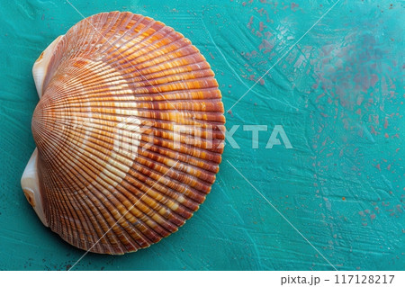 A beautifully textured sea shell rests on a vibrant teal surface, showcasing its unique patterns and colors in artistic isolation. 117128217