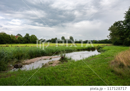 Water pond and the green wetlands around Ootmarsum, Overijssel, The Netherlands 117128717