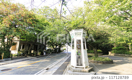 山手西洋館（山手資料館、山手十番館、山手234番館）の夏 117128789