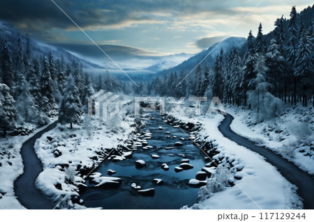 beautiful winter landscape drone view, river and forest with snow, wild nature 117129244