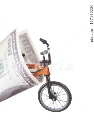 image of miniature bicycle 117129286