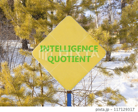 IQ intelligence quotient symbol. Concept words IQ intelligence quotient on yellow road sign. Beautiful forest snow blue sky background. Business psychology IQ intelligence quotient concept. Copy space 117129317