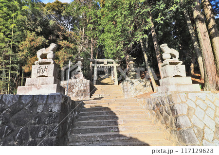 北九州市小倉南区の東大野八幡神社参道と二の鳥居 北九州市小倉南区の東大野八幡神社参道と二の鳥居 117129628