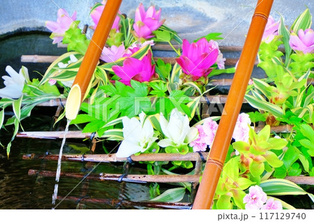 盛岡八幡宮　花手水 117129740