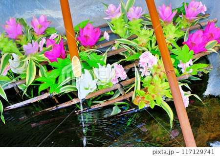 盛岡八幡宮 花手水 盛岡八幡宮 花手水 117129741