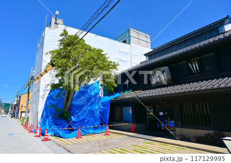 能登半島地震　一本杉通り　被災復興　七尾市 117129995