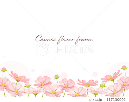 水彩で描いたピンクのコスモスが綺麗なフラワーフレーム 水彩で描いたピンクのコスモスが綺麗なフラワーフレーム 117130002