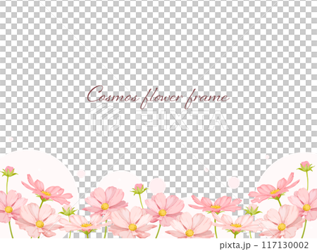 水彩で描いたピンクのコスモスが綺麗なフラワーフレーム 水彩で描いたピンクのコスモスが綺麗なフラワーフレーム 117130002