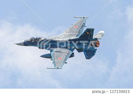 大空を飛ぶ戦闘機 117130023