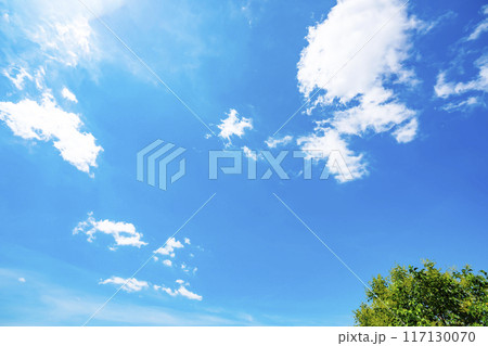 夏の雲と木立 夏の雲と木立 117130070