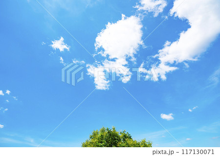 夏の雲と木立 117130071