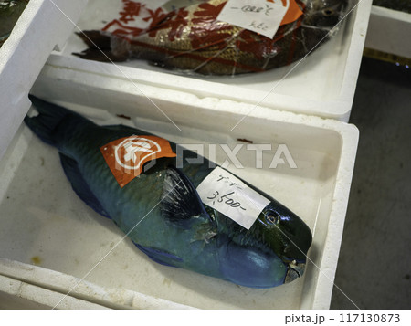 沖縄の魚市場泊いゆまちで売られているイラブチャー 沖縄の魚市場泊いゆまちで売られているイラブチャー 117130873