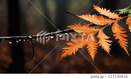 beautiful autumn landscape with yellow leaves with dew on the branches of trees in the forest at sunset, sunlight and beautiful nature 117130916