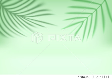 Bright interior with shadow of palm green leaves on the wall. 3d vector illustration 117131141