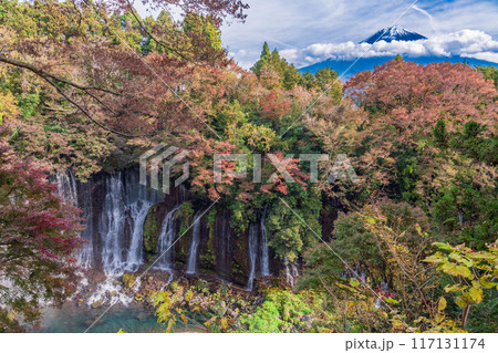 【静岡県】紅葉期の白糸の滝と富士山 【静岡県】紅葉期の白糸の滝と富士山 117131174