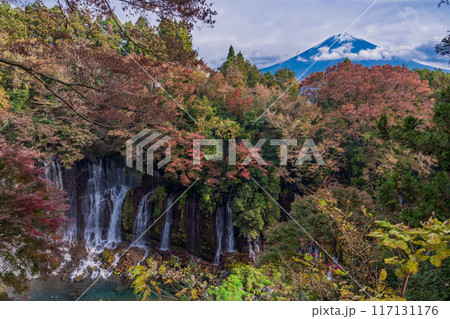 【静岡県】紅葉期の白糸の滝と富士山 117131176