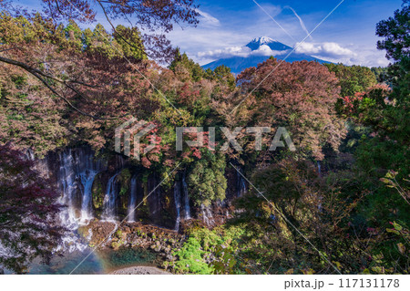 【静岡県】紅葉期の白糸の滝と富士山 【静岡県】紅葉期の白糸の滝と富士山 117131178