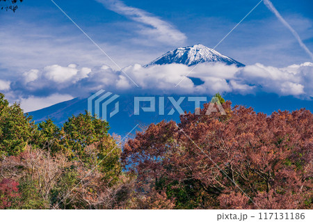【静岡県】紅葉期の白糸の滝と富士山 【静岡県】紅葉期の白糸の滝と富士山 117131186