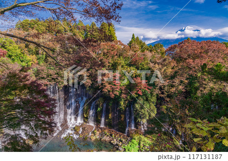 【静岡県】紅葉期の白糸の滝と富士山 117131187