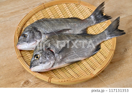 静岡県浜名湖産の黒鯛、クロダイ、黒だい、海水魚、魚介類、2匹。 静岡県浜名湖産の黒鯛、クロダイ、黒だい、海水魚、魚介類、2匹。 117131353