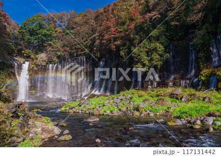 【静岡県】紅葉期の白糸の滝 【静岡県】紅葉期の白糸の滝 117131442