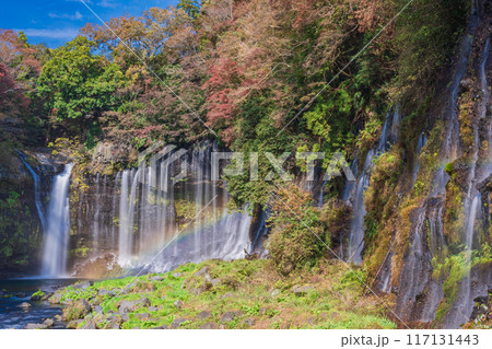 【静岡県】紅葉期の白糸の滝 【静岡県】紅葉期の白糸の滝 117131443
