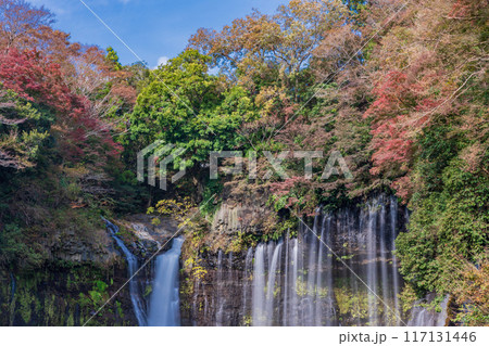 【静岡県】紅葉期の白糸の滝 117131446