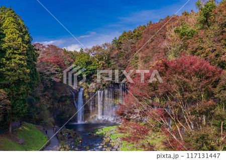 【静岡県】紅葉期の白糸の滝 【静岡県】紅葉期の白糸の滝 117131447