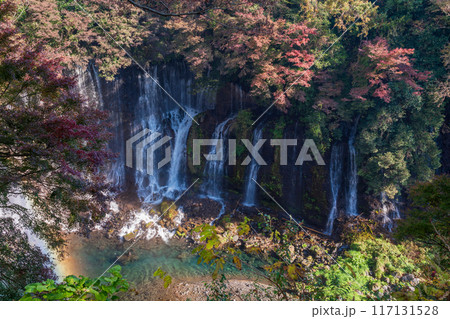 【静岡県】紅葉期の白糸の滝 117131528