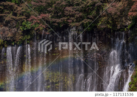 【静岡県】紅葉期の白糸の滝 【静岡県】紅葉期の白糸の滝 117131536