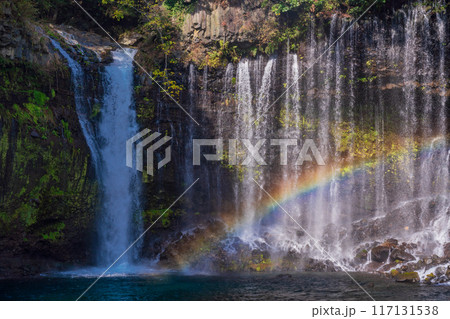 【静岡県】紅葉期の白糸の滝 【静岡県】紅葉期の白糸の滝 117131538