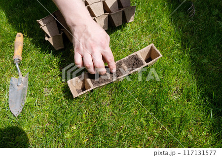 Garden Planting Preparation with Biodegradable Pots on Lawn 117131577