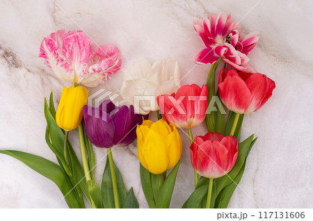 Variety of colorful tulips on textured background. 117131606