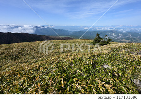 四阿山登山、長野県、群馬県 四阿山登山、長野県、群馬県 117131690