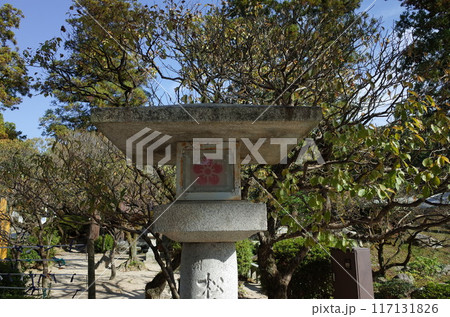 石燈籠のある風景_大宰府天満宮 117131826