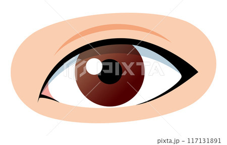 目　イラスト 117131891
