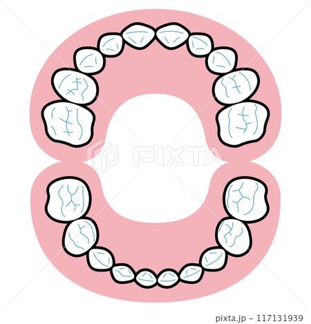 乳歯　図解 117131939