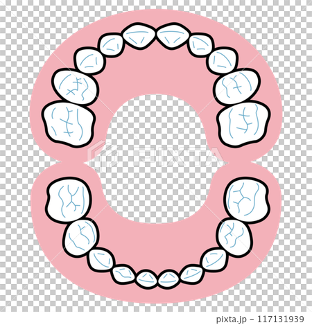 乳牙圖 乳牙圖 117131939