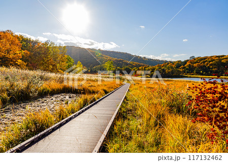 秋田県　八幡平・大沼の紅葉 117132462