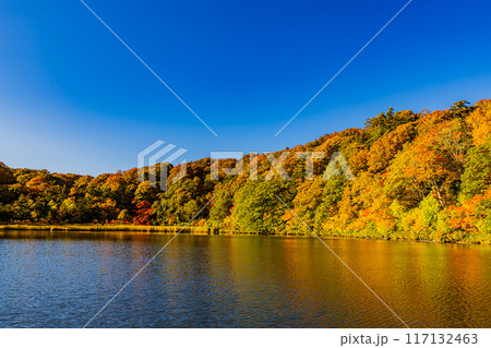 秋田県 八幡平・大沼の紅葉 秋田県 八幡平・大沼の紅葉 117132463