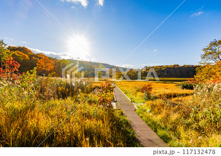 秋田県 八幡平・大沼の紅葉 秋田県 八幡平・大沼の紅葉 117132478