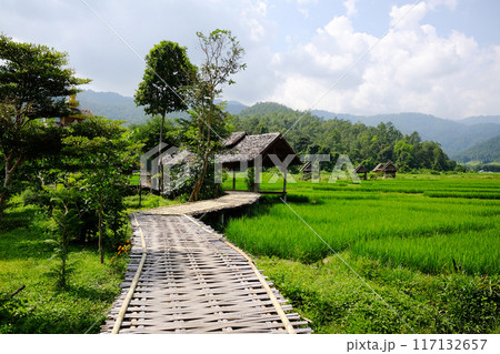 landscape of woven wooden bridge for walking across agriculture field and greenery paddy rice terrace to homestay and hut on hill in Thailand landscape of woven wooden bridge for walking across agriculture field and greenery paddy rice terrace to homestay and hut on hill in Thailand 117132657