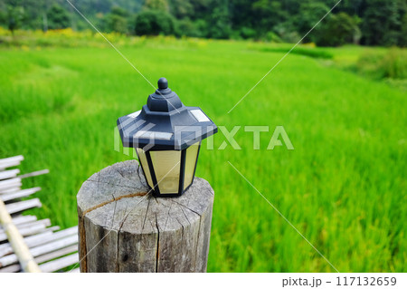 Vintage street lamp light on tree stump for decorated on wooden bridge for walking across agriculture field and greenery paddy rice terrace on hill in Thailand Vintage street lamp light on tree stump for decorated on wooden bridge for walking across agriculture field and greenery paddy rice terrace on hill in Thailand 117132659