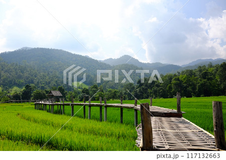 landscape of woven wooden bridge for walking across agriculture field and greenery paddy rice terrace to homestay and hut on hill in Thailand landscape of woven wooden bridge for walking across agriculture field and greenery paddy rice terrace to homestay and hut on hill in Thailand 117132663