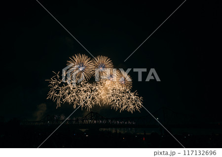 夜空に舞う打ち上げ花火 117132696